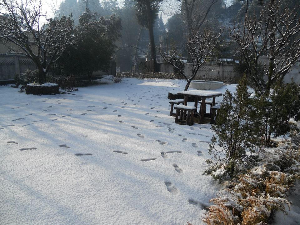 Hotel Rewa Retreat Nainital Exterior foto